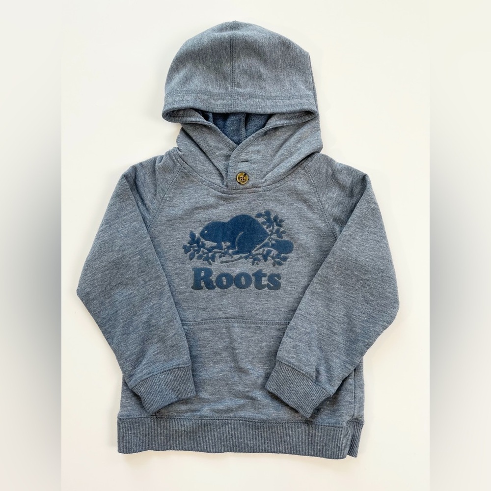 🇨🇦 Roots Kids‎ Blue-Gray Hoodie